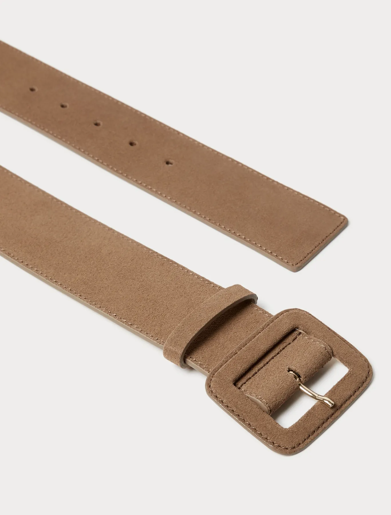 Marina Rinaldi Accessori | Accessori*Cintura in pelle scamosciata TORTORA